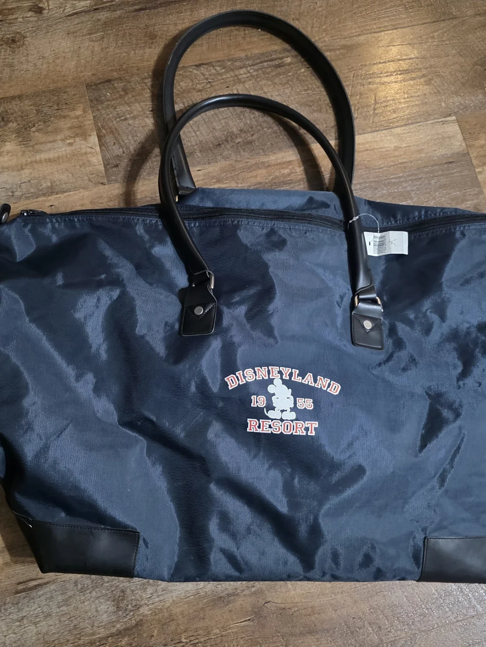 Disney nwt large